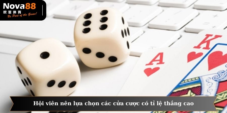Hội viên nên lựa chọn các cửa cược có tỉ lệ thắng cao cho người chơi